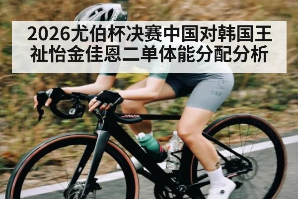 2026尤伯杯决赛中国对韩国王祉怡金佳恩二单体能分配分析